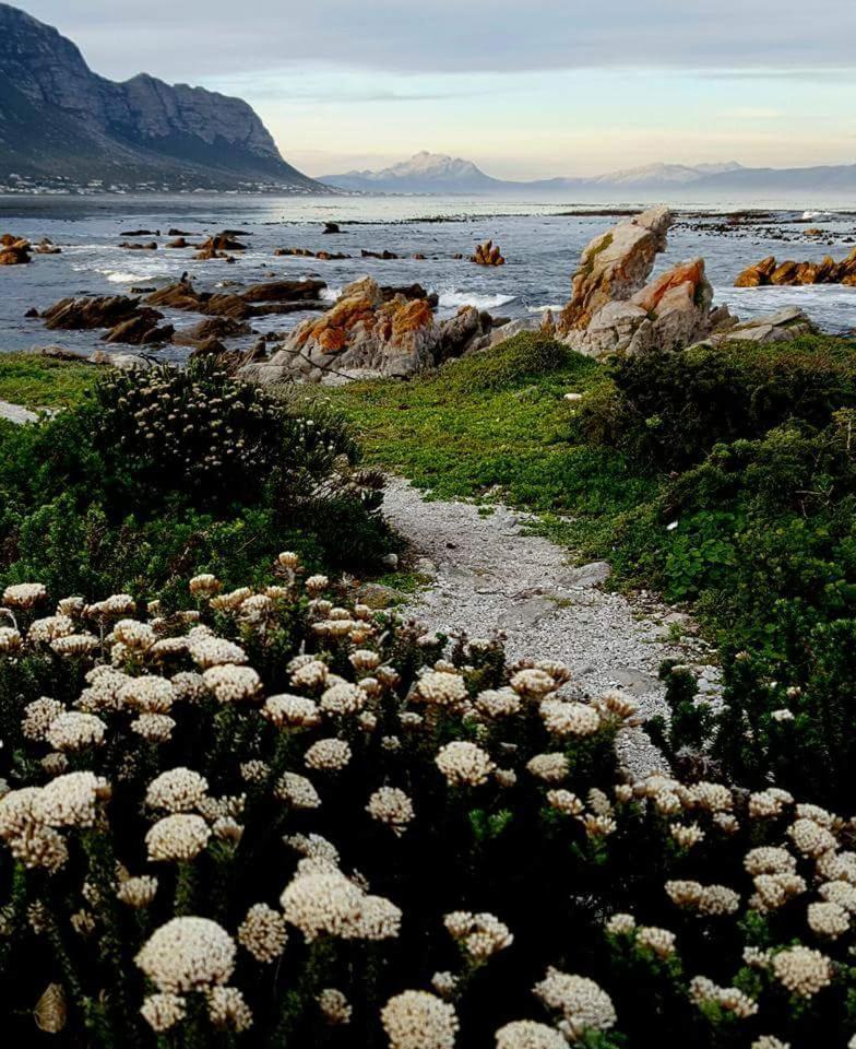 Klipwerf Bettys Bay Lägenhet Exteriör bild