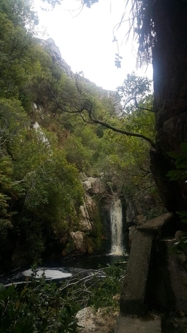 Klipwerf Bettys Bay Lägenhet Exteriör bild