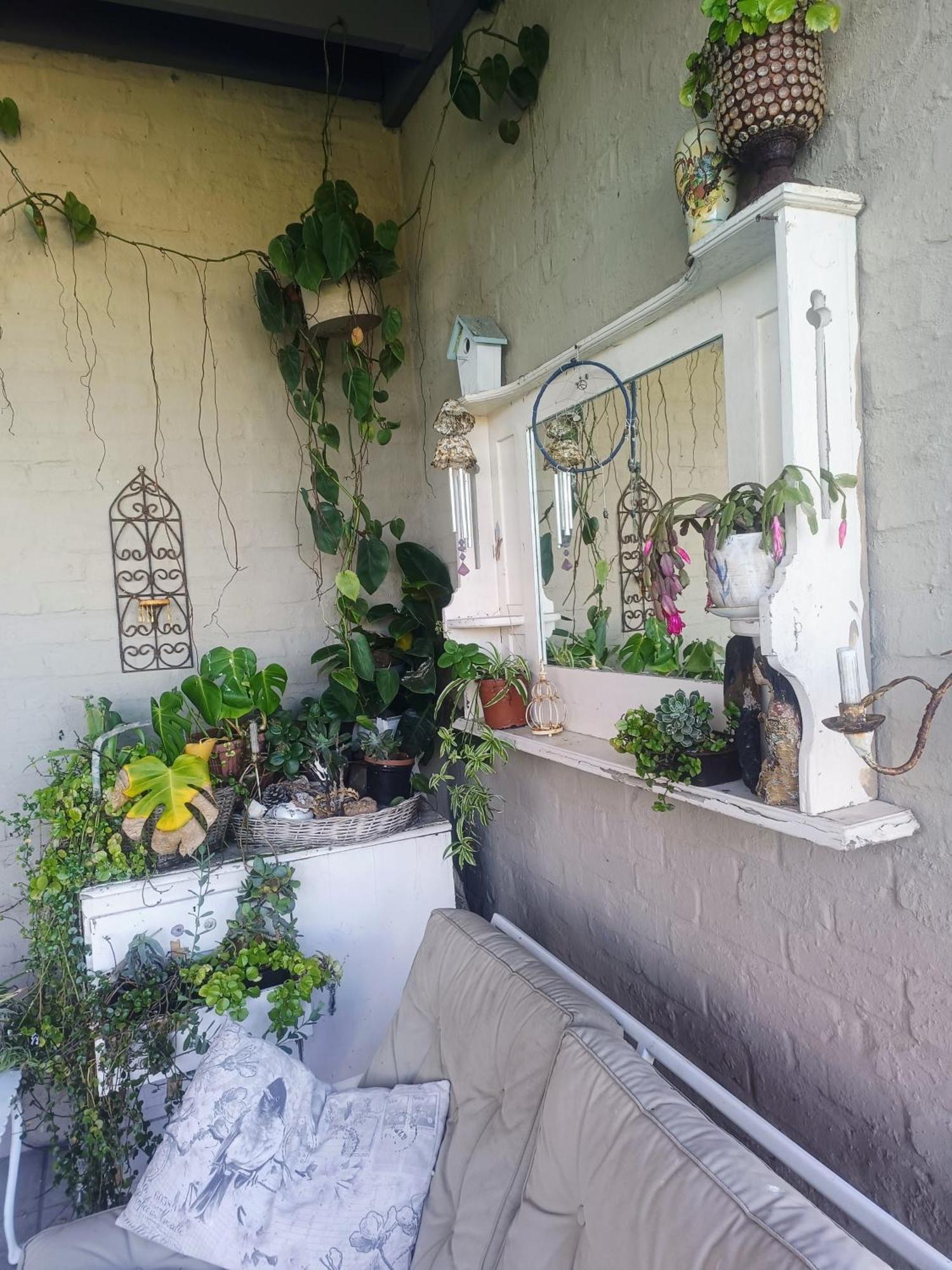 Klipwerf Bettys Bay Lägenhet Exteriör bild