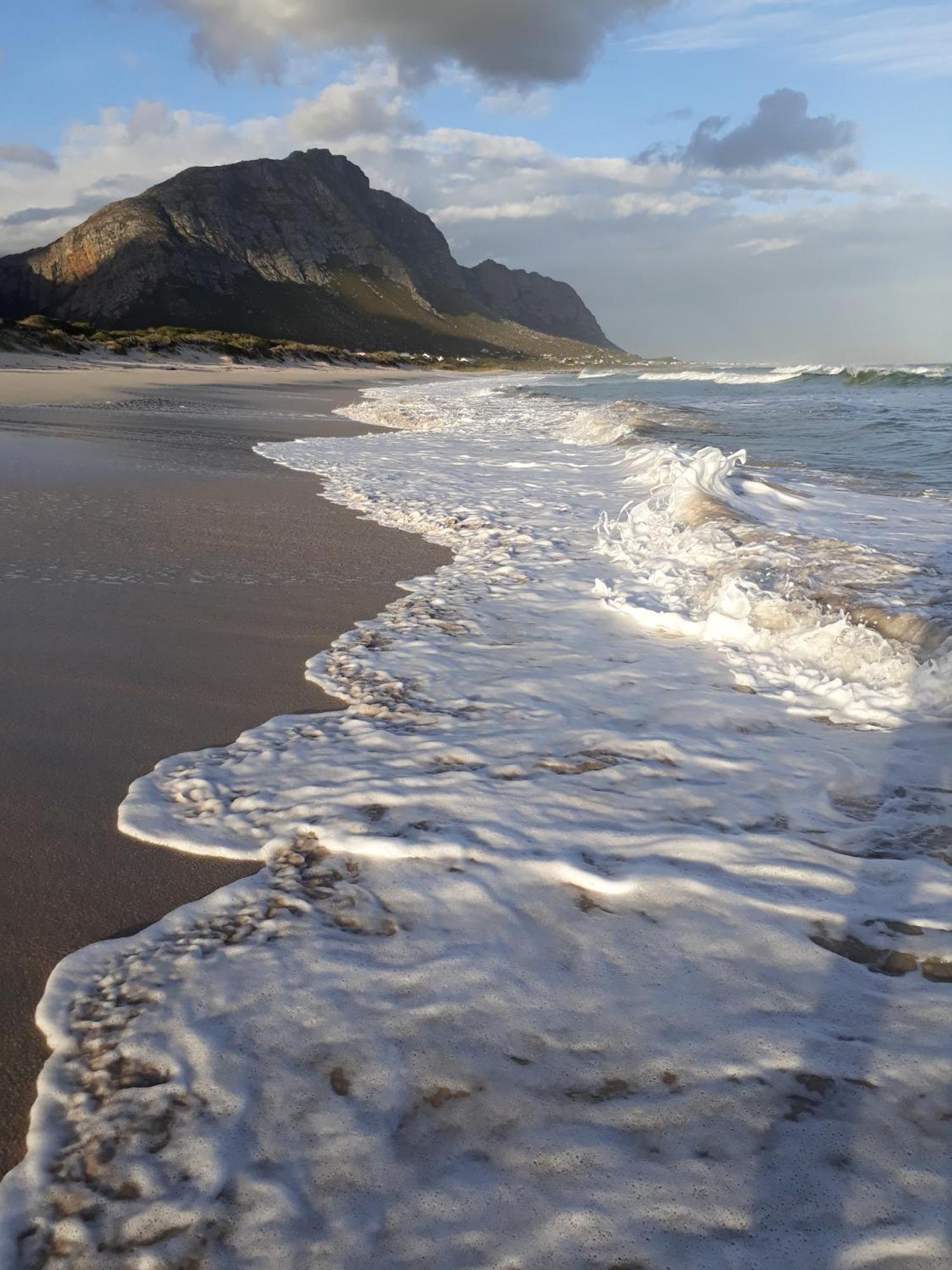 Klipwerf Bettys Bay Lägenhet Exteriör bild